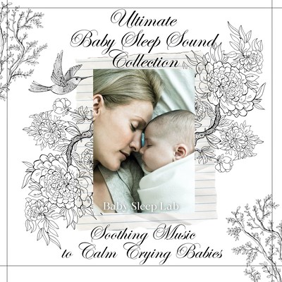 Ultimate Baby Sleep Sound Collection - Soothing Music to Calm Crying Babies Front Cover