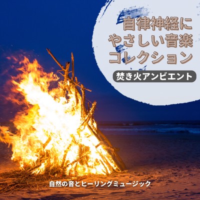 Autonomic Nervous System -Friendly Music Collection - Campfire Ambient Front Cover