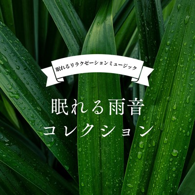 Sleep-Inducing Rain Sounds Collection Front Cover