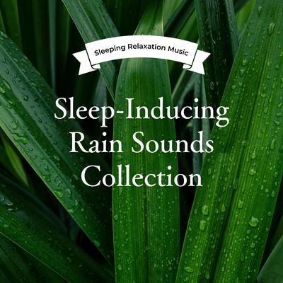 Sleep-Inducing Rain Sounds Collection Front Cover