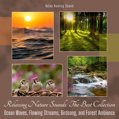 Relaxing Nature Sounds: The Best Collection - Ocean Waves, Flowing Streams, Birdsong, and Forest Ambience Front Cover