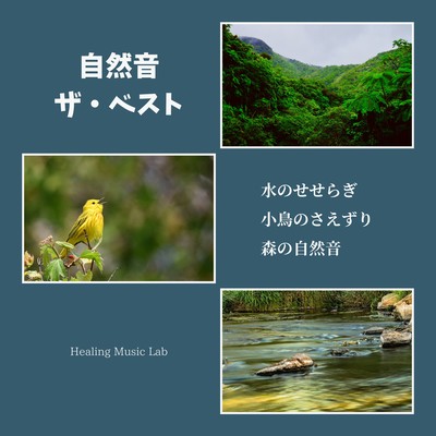 Nature Sounds: The Best Collection - Flowing Water, Chirping Birds, and Forest Ambience Front Cover