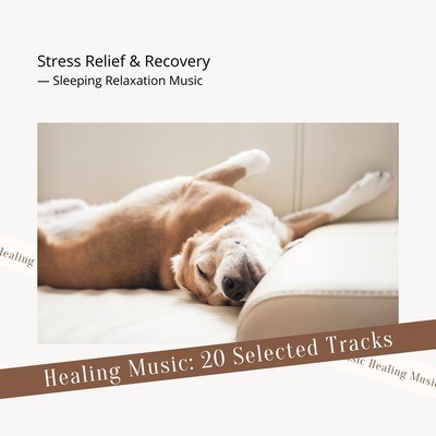 Healing Music: 20 Selected Tracks - Stress Relief & Recovery Front Cover