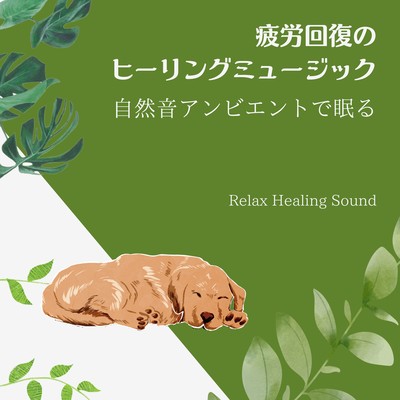 Healing Music for Fatigue Recovery: Sleep with Ambient Nature Sounds Front Cover