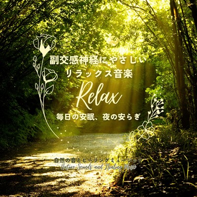 Relaxation Music Gentle on the Parasympathetic Nervous System - Daily Deep Sleep and Nighttime Comfort Front Cover