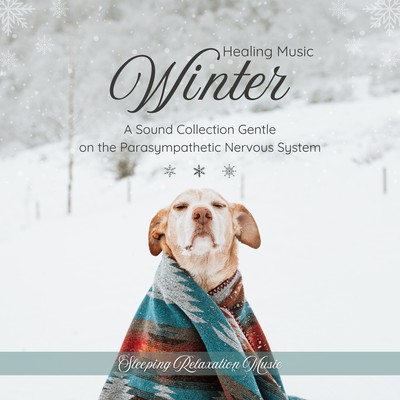 Winter Healing Music - A Sound Collection Gentle on the Parasympathetic Nervous System Front Cover