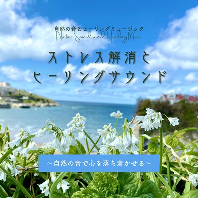 Stress Relief & Healing Sounds: Calm Your Mind with Nature's Harmony Front Cover