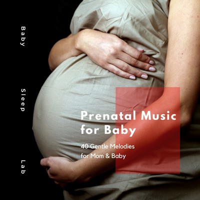 Prenatal Music for Baby - 40 Gentle Melodies for Mom & Baby Front Cover