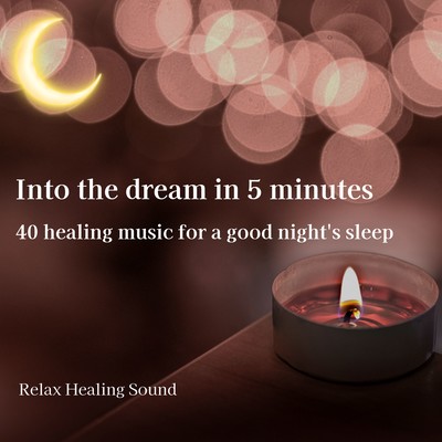 Into the dream in 5 minutes - 40 healing music for a good night's sleep Front Cover