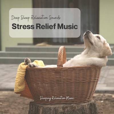Stress Relief Music - Deep Sleep Relaxation Sounds Front Cover