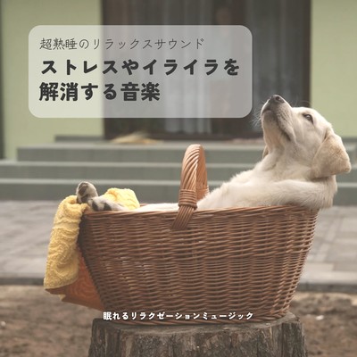 Stress Relief Music - Deep Sleep Relaxation Sounds Front Cover