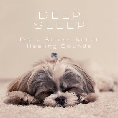 Deep Sleep - Daily Stress Relief Healing Sounds Front Cover