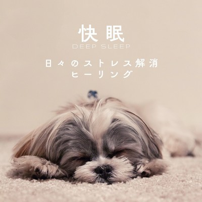 Deep Sleep - Daily Stress Relief Healing Sounds Front Cover