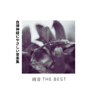 Rain Sounds THE BEST - Music Gentle on the Nervous System Front Cover
