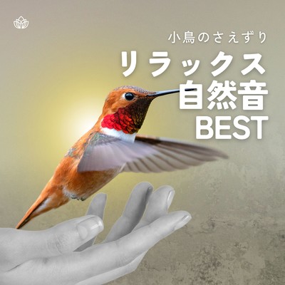 Best Relaxing Nature Sounds - Chirping Birds Front Cover