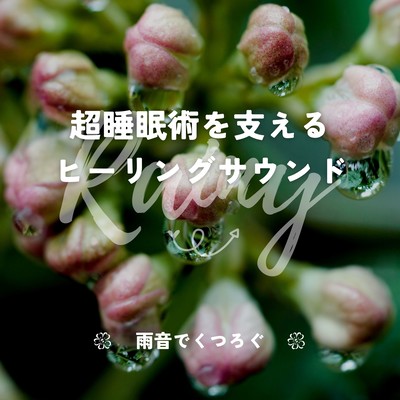 Deep Sleep Technique Support - Healing Sounds with Rain Comfort Front Cover