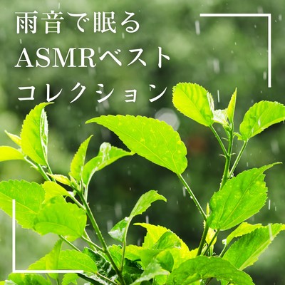 ASMR Best Collection - Sleep with Rain Sounds Front Cover
