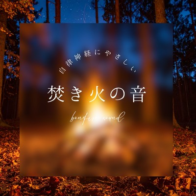 Nervous System-Friendly Fireplace Sounds Front Cover