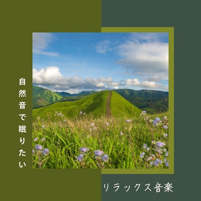 Relaxing Music - Falling Asleep to Nature Sounds Front Cover