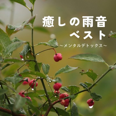 Healing Rain Best - Mental Detox Front Cover