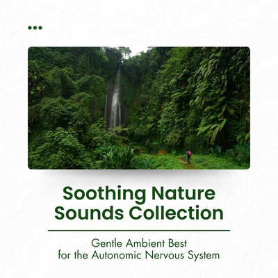 Soothing Nature Sounds Collection - Gentle Ambient Best for the Autonomic Nervous System Front Cover