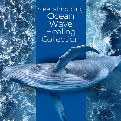 Sleep-Inducing Ocean Wave Healing Collection Front Cover
