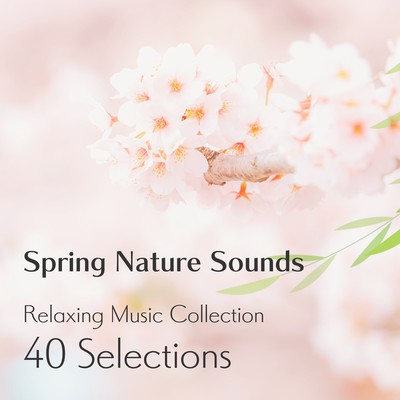 Spring Nature Sounds - Relaxing Music Collection: 40 Selections Front Cover