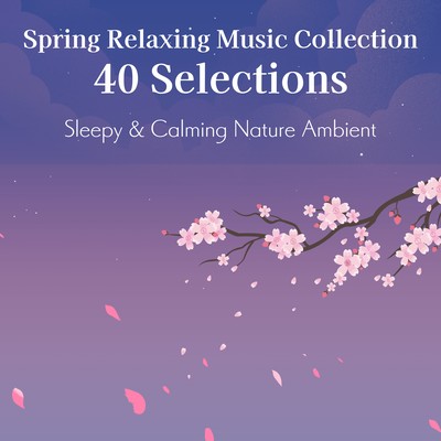 Spring Relaxing Music Collection: 40 Selections - Sleepy & Calming Nature Ambient Front Cover