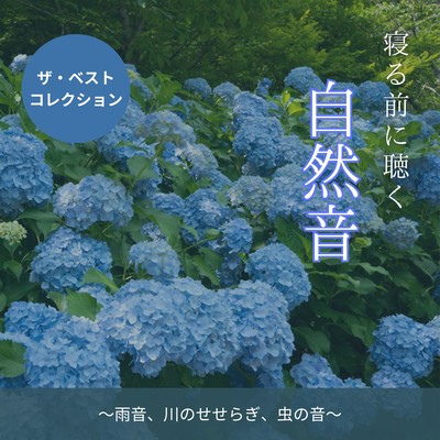 Nature Sounds Before Bed - The Best Collection (Rain, Babbling Brook & Insect Sounds) Front Cover