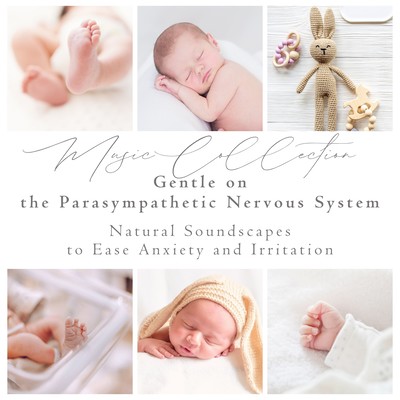 Music Collection Gentle on the Parasympathetic Nervous System - Natural Soundscapes to Ease Anxiety and Irritation Front Cover