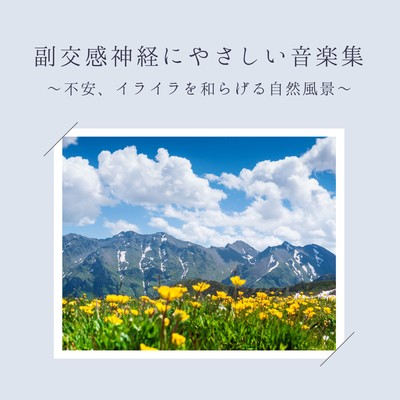 Music Collection Gentle on the Parasympathetic Nervous System - Natural Soundscapes to Ease Anxiety and Irritation Front Cover