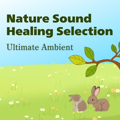 Nature Sound Healing Selection - Ultimate Ambient - Front Cover