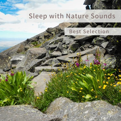 Sleep with Nature Sounds - Best Selection - Front Cover