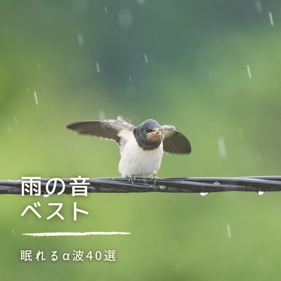 Rain Sounds - 40 Alpha Wave -Inspired Tracks for Sleep - Front Cover