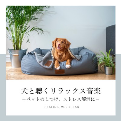 Relaxing music to hear with a dog -For disciplining pets and relieving stress- Front Cover