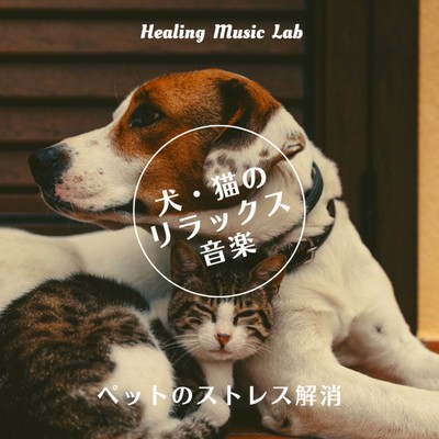 Relaxing music for dogs and cats -Relieve stress in pets- Front Cover