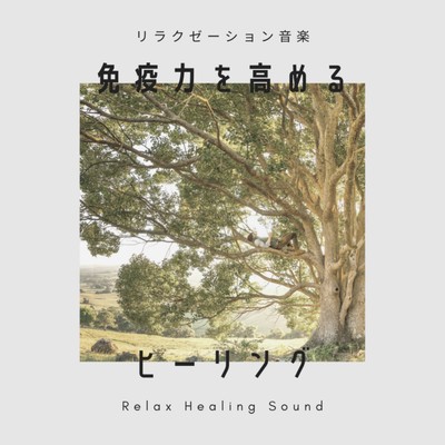 Relaxation music -Healing to boost immunity- Front Cover