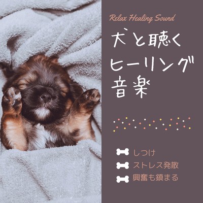 犬と聴くヒーリング音楽-しつけ、ストレス発散、興奮も鎮まる-のジャケット写真