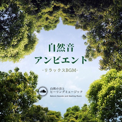 Nature Sound Ambient -Relaxation BGM- Front Cover