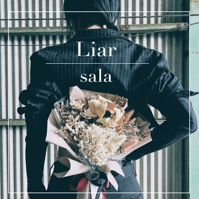 Liar Front Cover
