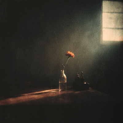 Destiny Front Cover
