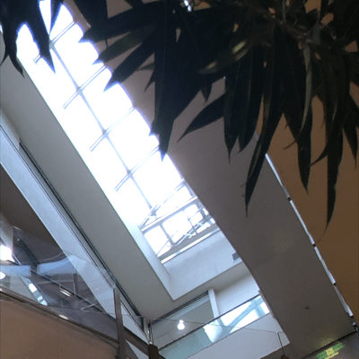 find me (feat. 可不)のジャケット写真