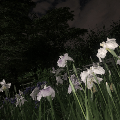 work (feat. 可不)のジャケット写真