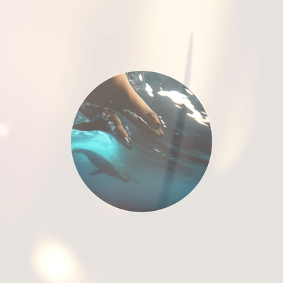 カイジュウの島2のジャケット写真