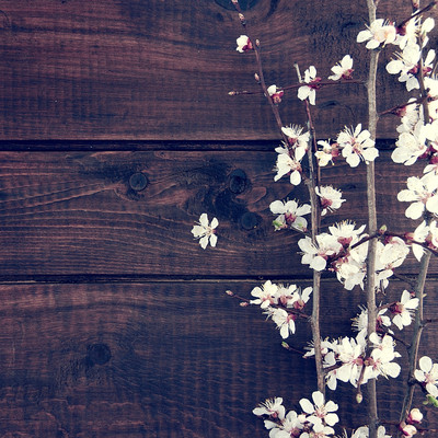 IMAGEのジャケット写真