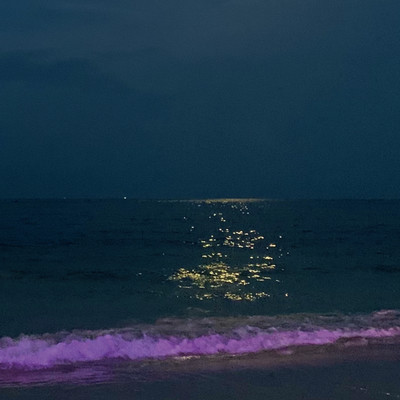 STAR BEACH Front Cover