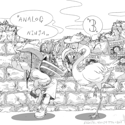 ANALOG NINJA 3のジャケット写真