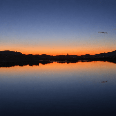 Wait For You Front Cover