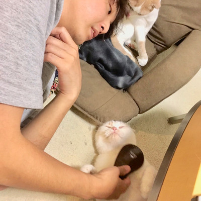 猫と僕のジャケット写真