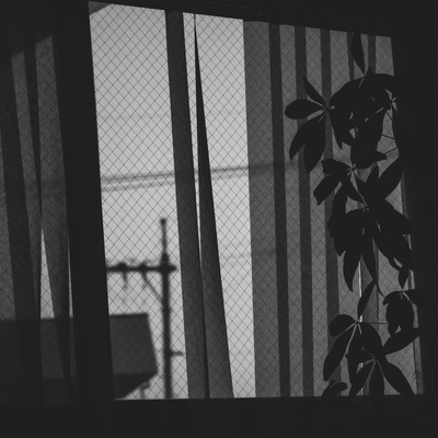 土曜日のジャケット写真